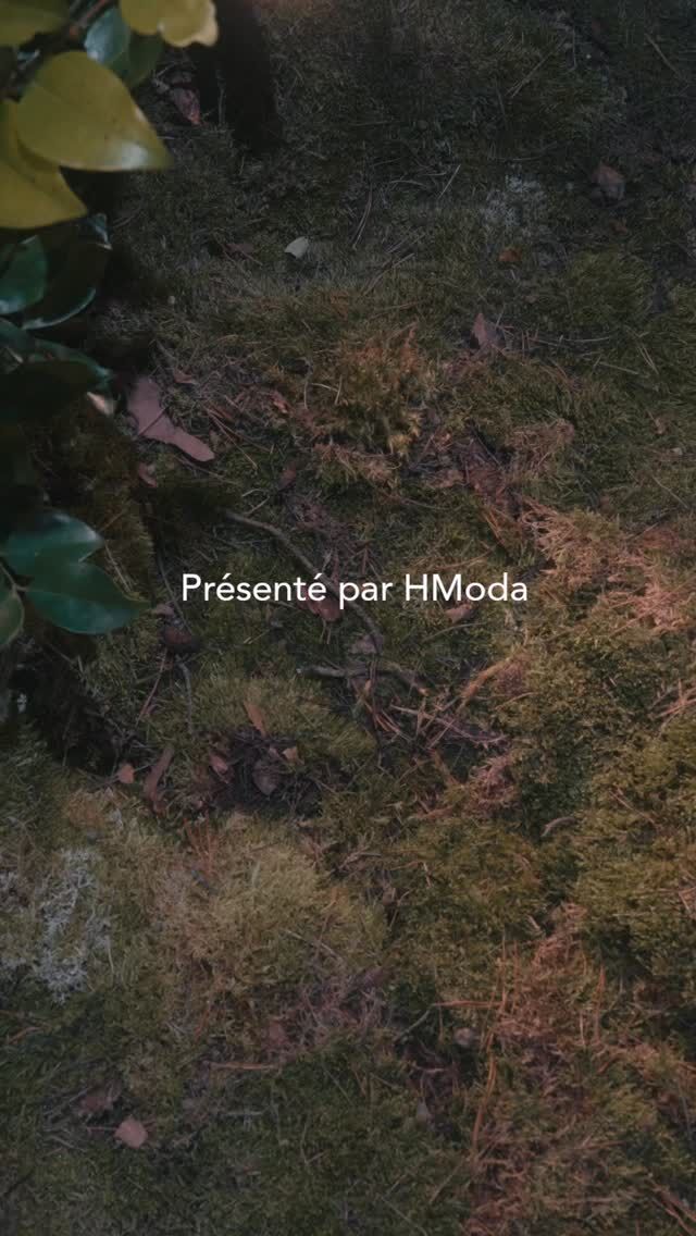 HModa 126 - Grand Opening A place where ideas and connections take root

HModa 126 is an ecosystem of innovation and savoir-faire, where Italian and French expertise in the luxury sector comes together and evolves. Located in Seine-Saint-Denis, a new strategic hub for fashion, the space brings together four key areas: the Showroom, the Academy, the Atelier, and Research & Development, creating an environment where creativity, training, and collaboration take shape.

HModa’s renewed presence in France reflects the Group’s ongoing commitment to staying close to its French clients, while supporting the vitality of local communities, the competitiveness of SMEs, and the development of a place where manufacturing excellence can thrive. With its distinguished industrial heritage and a unique culture of luxury, France is the natural partner for Italy in building an alliance capable of shaping the future of luxury manufacturing.

A heartfelt thank you to all the guests who joined us for this inaugural moment - we are excited for what we will build together. A special thanks also goes to Karine Franclet, Mayor of Aubervilliers, Marie-Cécile Tardieu, Deputy General Director of Business France, and Animaya N’Tchandy, Sub-Prefect of Seine-Saint-Denis.

#HModa126
#HModaFrance 
#HModaGroup 

video: @giacomoarrigo_ @gas.visuals